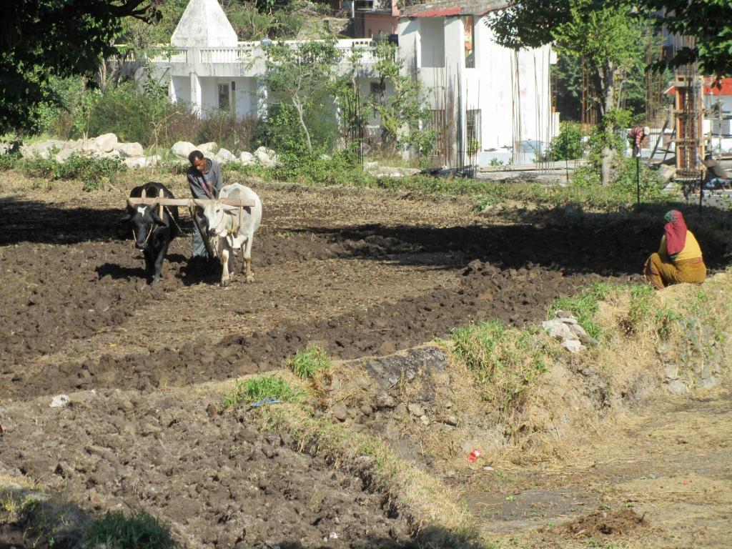 Ayushman Cottage Rishīkesh Zewnętrze zdjęcie